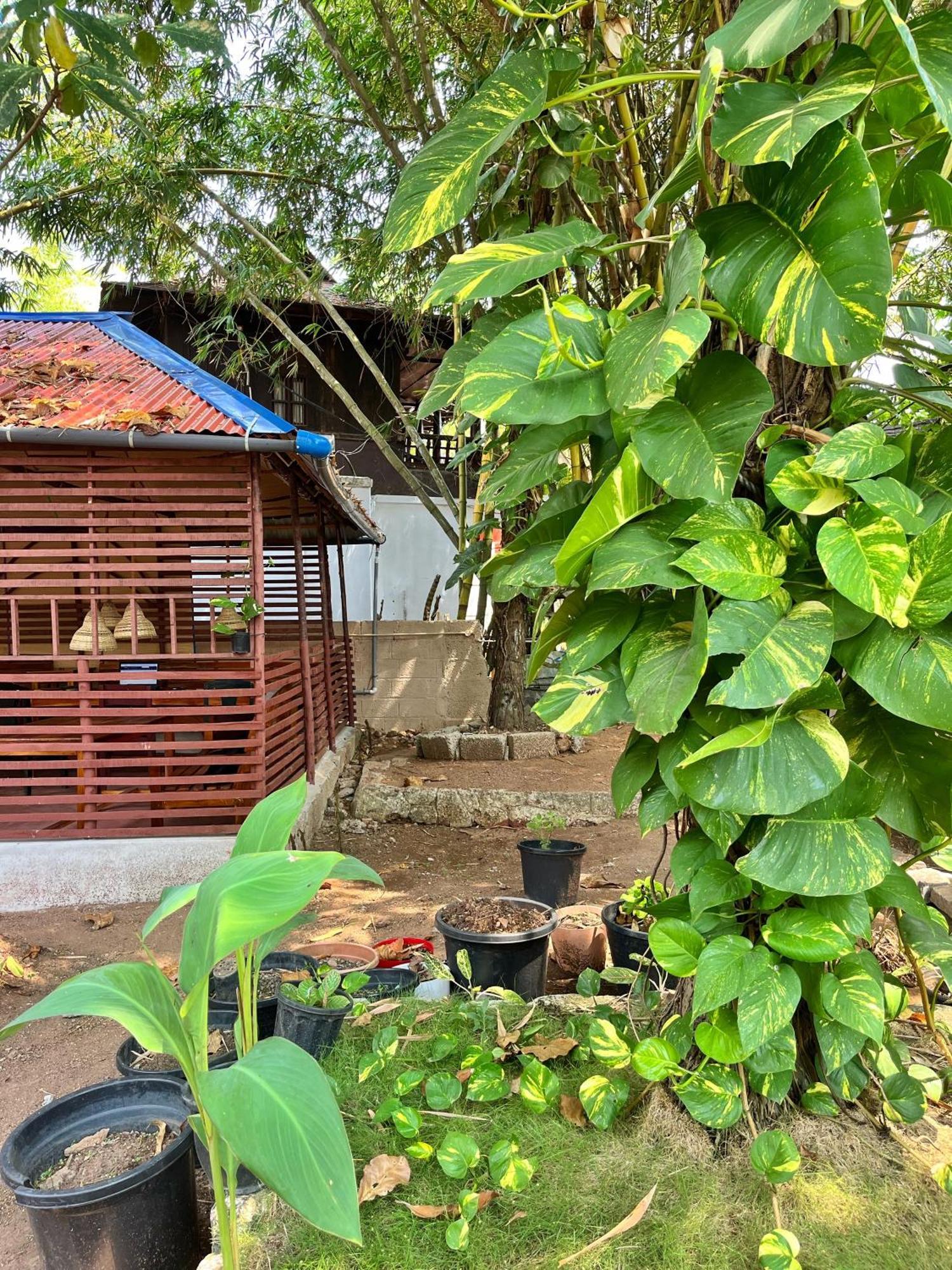 Bava Beach Resort & Retreat Center Varkala Exteriör bild